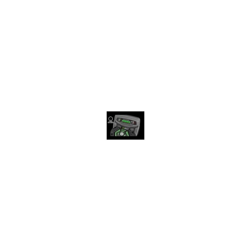 EGO batterie 10 Ah