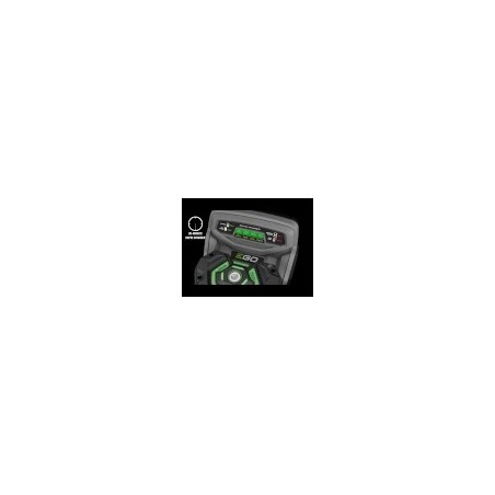 EGO batterie 10 Ah
