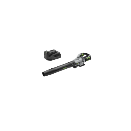Kit souffleur de feuilles EGO LB6151E
