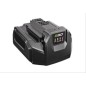 EGO chargeur rapide CH5500E