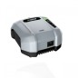 EGO chargeur chargeur standard CH2100E