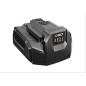 EGO chargeur chargeur standard CH2100E