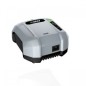 EGO chargeur rapide CH5500E